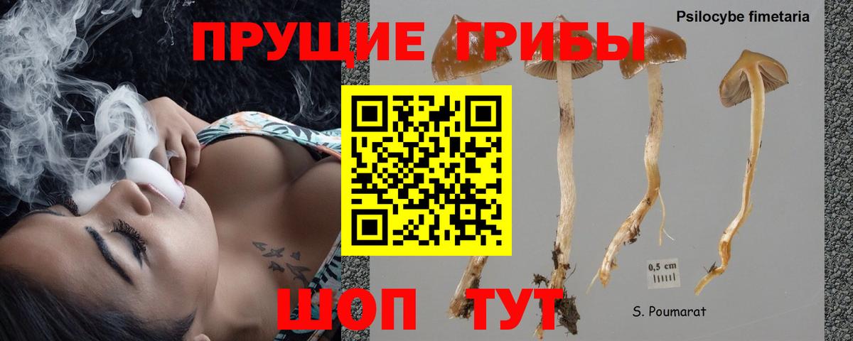 Галлюциногенные грибы MAGIC MUSHROOMS Нефтекамск